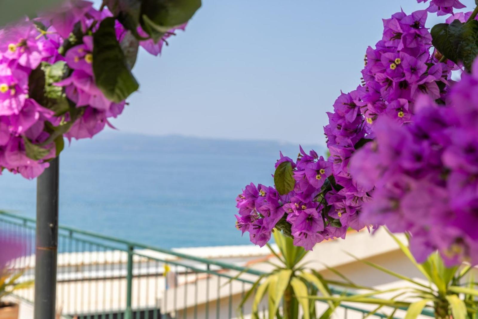 Beachfront Comfort Apartment Nives Tučepi Zewnętrze zdjęcie